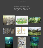 Birgitts Bilder
